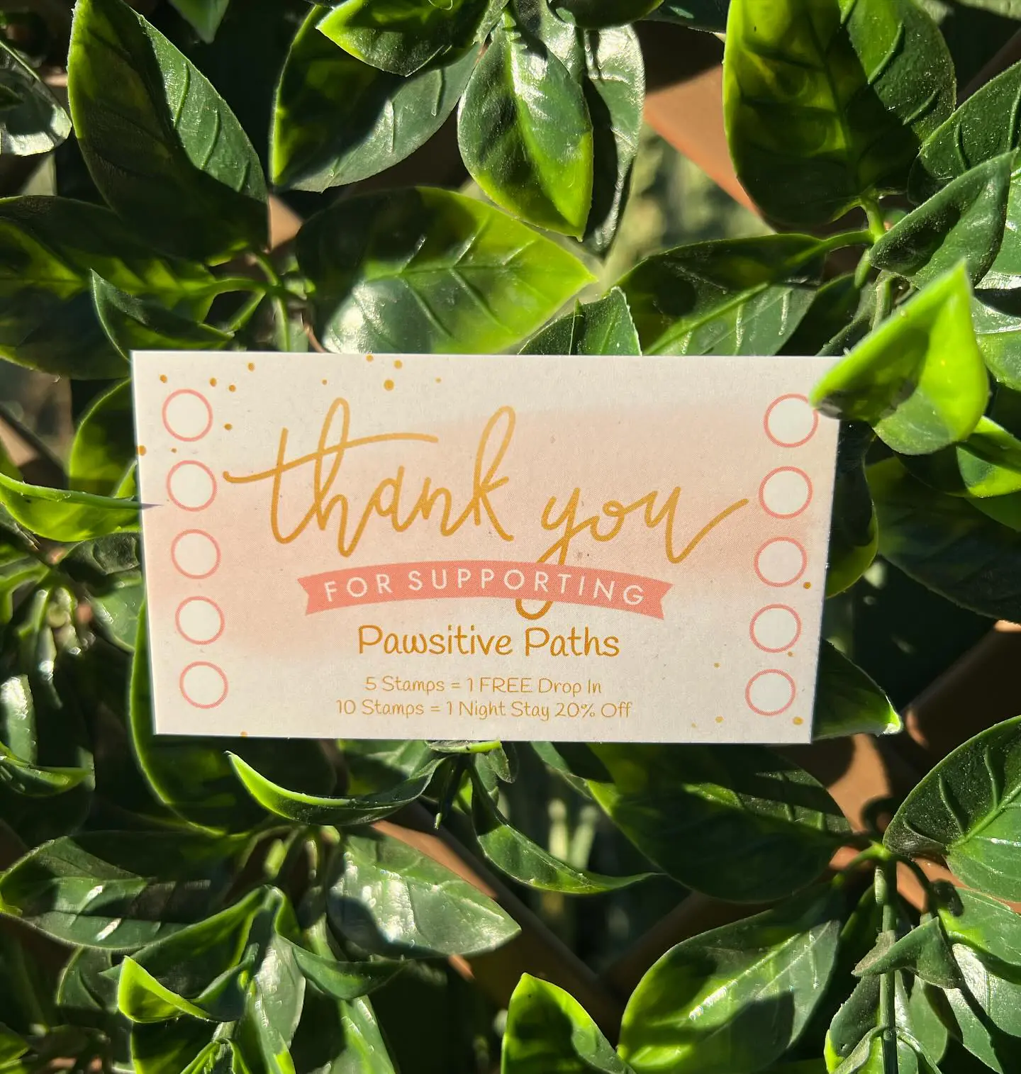 Pawsitive Paths Stamp Card — thank you for supporting Pawsitive Paths